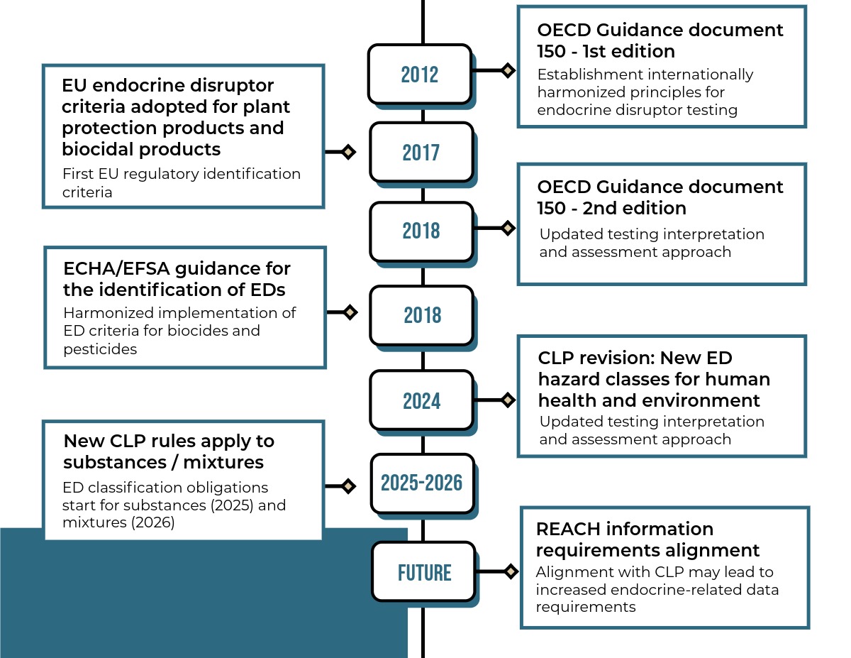 Timeline of endocrine disruptor regulation in Europe from OECD Guidance Document 150 to CLP endocrine disruptor hazard classes and future REACH alignment